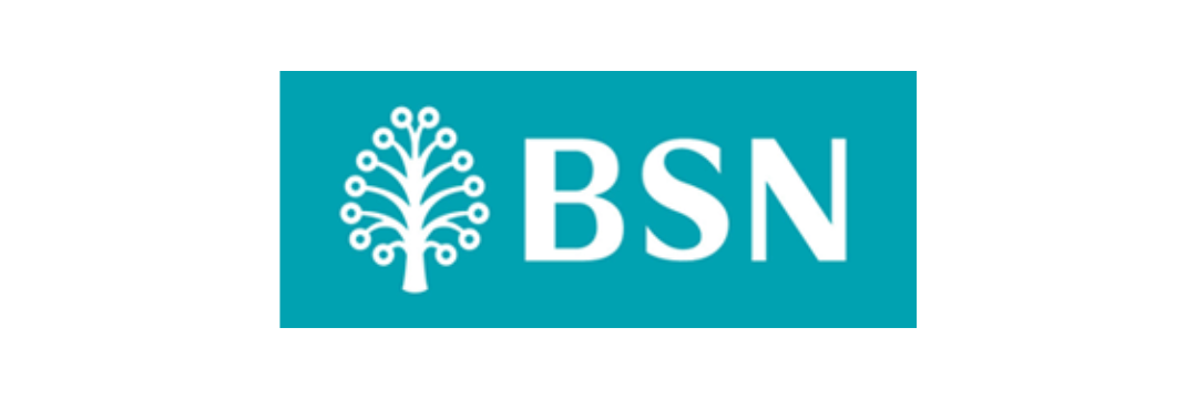 BSN Logo
